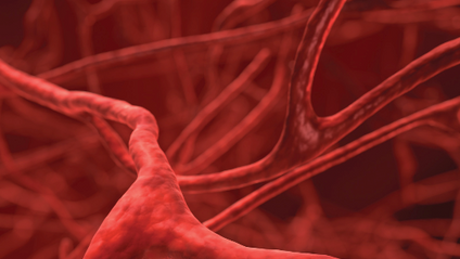 Product image for Santé veineuse: varices et hémorroïdes