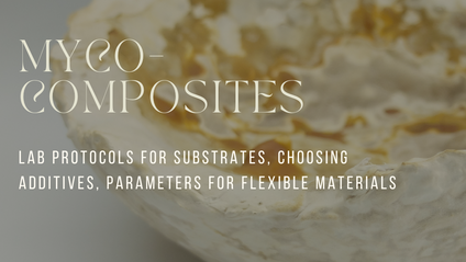 Product image for Membranes and Myco-Composites