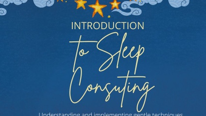 Product image for Sleep Guidance Consulting