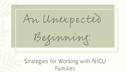 Product image for An Unexpected Beginning: Strategies for Working with NICU Families