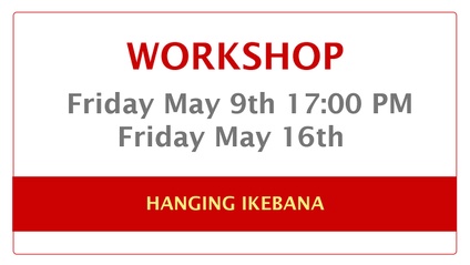 Product image for HANGING IKEBANA ZOOM WORKSHOP