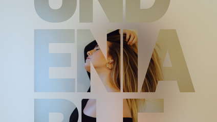 Product image for UNDENIABLE