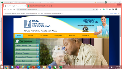 Product image for IDEAL NURSING SERVICES 