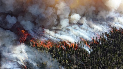 Product image for Wildfire Smoke Training