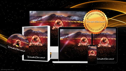 Product image for Coming Back To Life - Live At Pompeii
