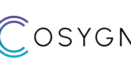 Product image for CREDIT BASICS