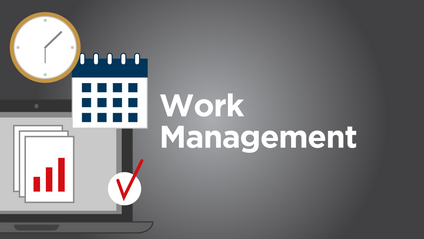 Product image for Work Managment 