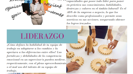 Product image for Guía Mejores Prácticas para Supervisores