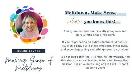 Product image for Making Sense of Meltdowns - 3 Part Training