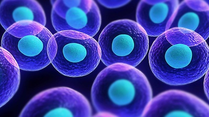 Product image for  Campi informazionali e vitalità: come le memorie cellulari condizionano la nostra salute