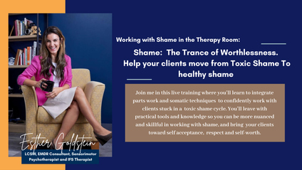 Product image for Working with Shame in the Therapy Room: The Trance of Worthlessness.