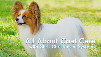 Product image for All About Coat Care with Chris Christensen Systems