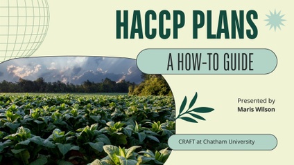 Product image for HACCP Plans - A How To Guide