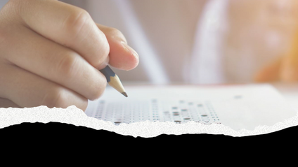 Product image for USING THE STANDARD BIDDING DOCUMENTS