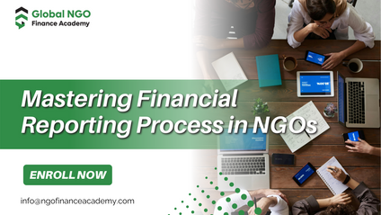 Product image for Mastering financial reporting process in NGOs