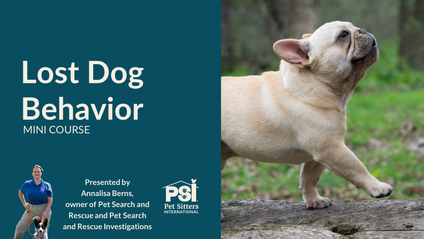 Product image for Mini Course: Lost Dog Behavior