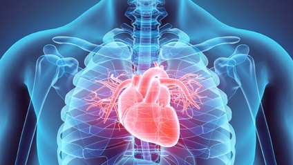 Product image for Inotropes in Critical Care (2.0 CE Hour)