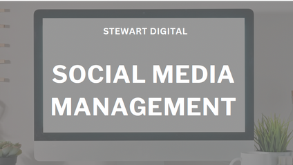 Product image for Social Media Management