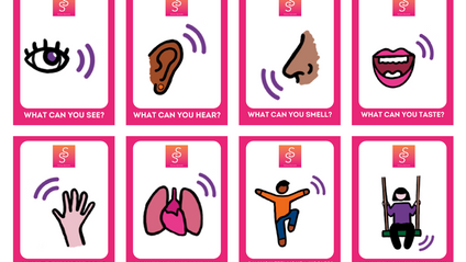 Product image for Senses Flashcards