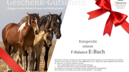 Product image for Geschenk-Gutschein F-Balance® E-Buch