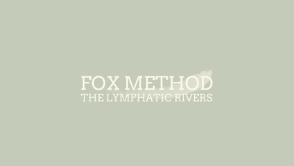 Product image for The Lymphatic Rivers