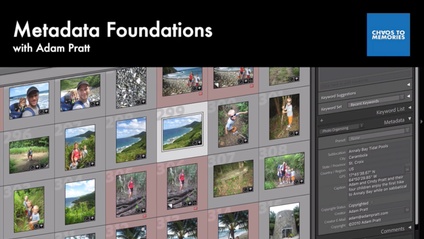 Product image for Metadata Foundations