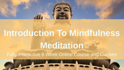Product image for Course 1: A Serious Introduction to Mindfulness Meditation