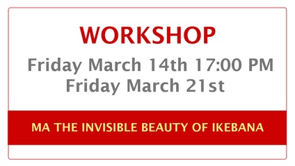 Product image for MA THE INVISIBLE BEAUTY OF IKEBANA