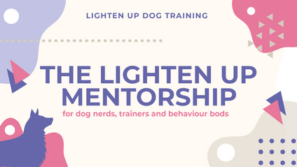 Product image for The Lighten Up Mentorship