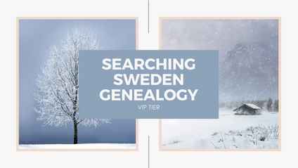 Product image for Searching Sweden [VIP Tier]