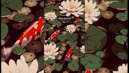 Product image for Koi Pond Series