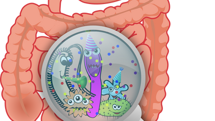 Product image for Système digestif : votre 2è cerveau