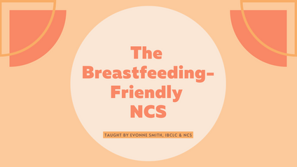 Product image for The Breastfeeding-Friendly NCS (Breastfeeding Basics for the NCS)