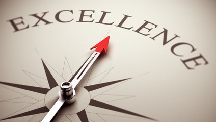 Product image for Professional Excellence 101