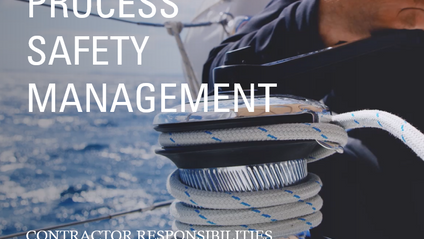 Product image for Process Safety Management (Policy Review)