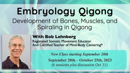 Product image for Embryology Qigong: Development of Bones, Muscles, and Spiraling