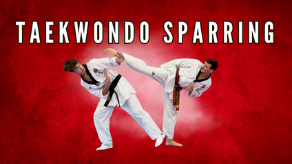 Product image for Taekwondo Sparring Mini Course