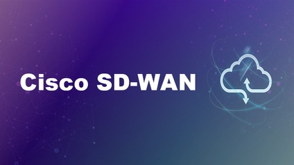 Product image for Software Defined - Wide Area Network*