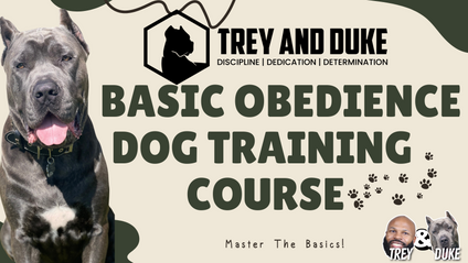 Product image for Trey and Duke Basic Obedience Dog Training Course