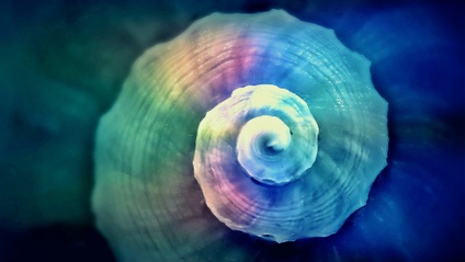 Product image for Music as Co-Therapist: Selections for Self-Exploration