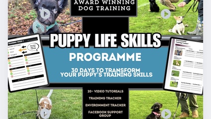 Product image for Puppy Life Skills