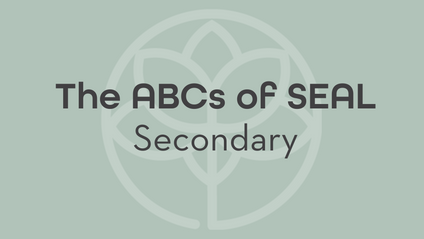 Product image for SECONDARY Strengthening S.E.A.L. To Boost The ABCs