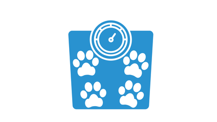 Product image for Canine and Feline Obesity Management