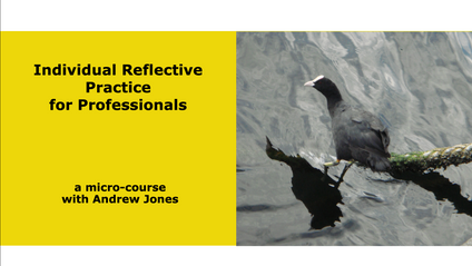 Product image for Reflective Practice for Professionals