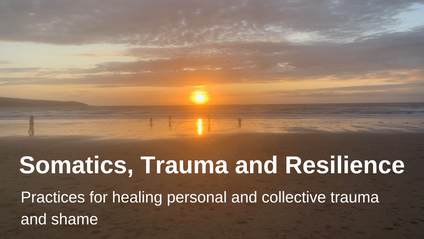 Product image for Somatics, Trauma and Resilience