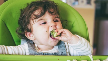 Product image for Baby Led Weaning (BLW)
