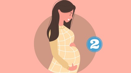 Product image for Maternity Part 2