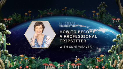 Product image for How to Become a Professional Tripsitter 