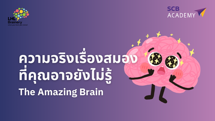 Product image for THE AMAZING BRAIN