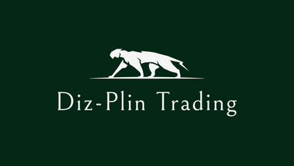 Product image for The Diz-Plin Trading Course